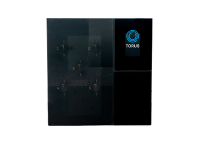 Torus 5