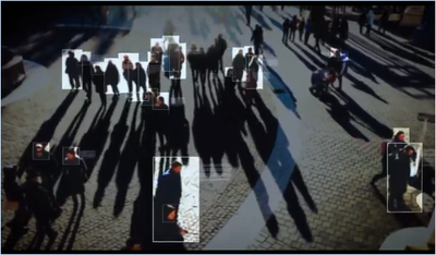Face Search